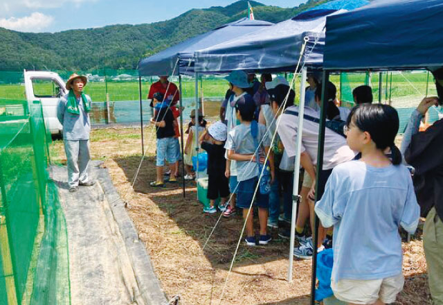 地産地消