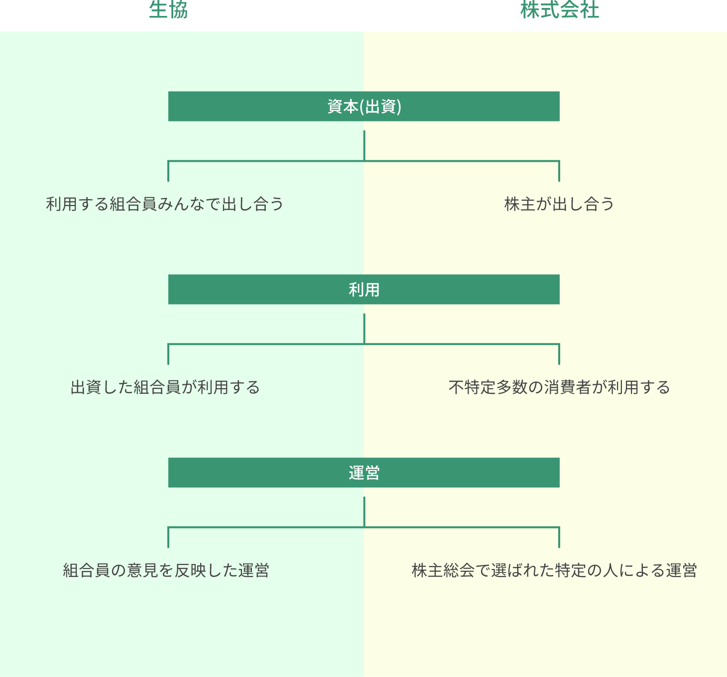 生協　株式会社