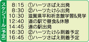 スケジュール