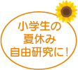 小学生の夏休み自由研究に!