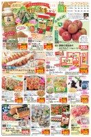 page 1 thumbnail