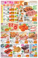 page 1 thumbnail