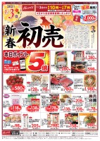 page 1 thumbnail