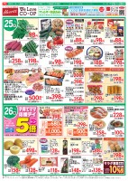 page 1 thumbnail