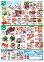 page 1 thumbnail