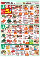 page 1 thumbnail
