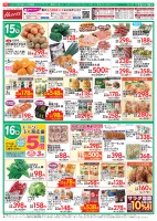page 1 thumbnail
