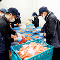 農産加工センターで野菜の加工