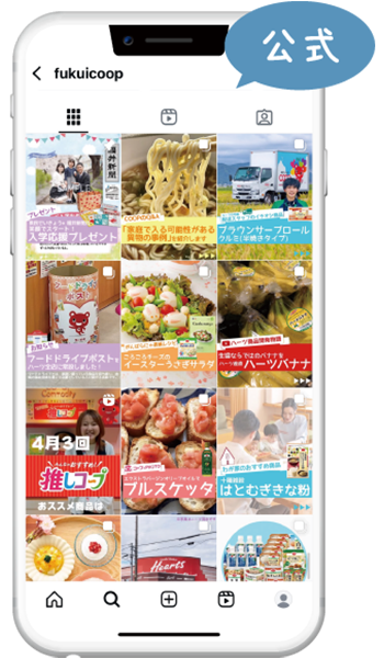 公式