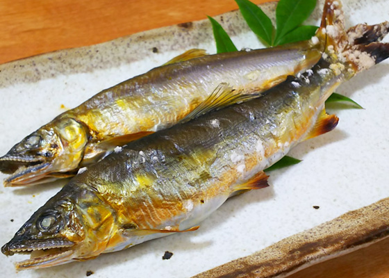 鮎の塩焼き
