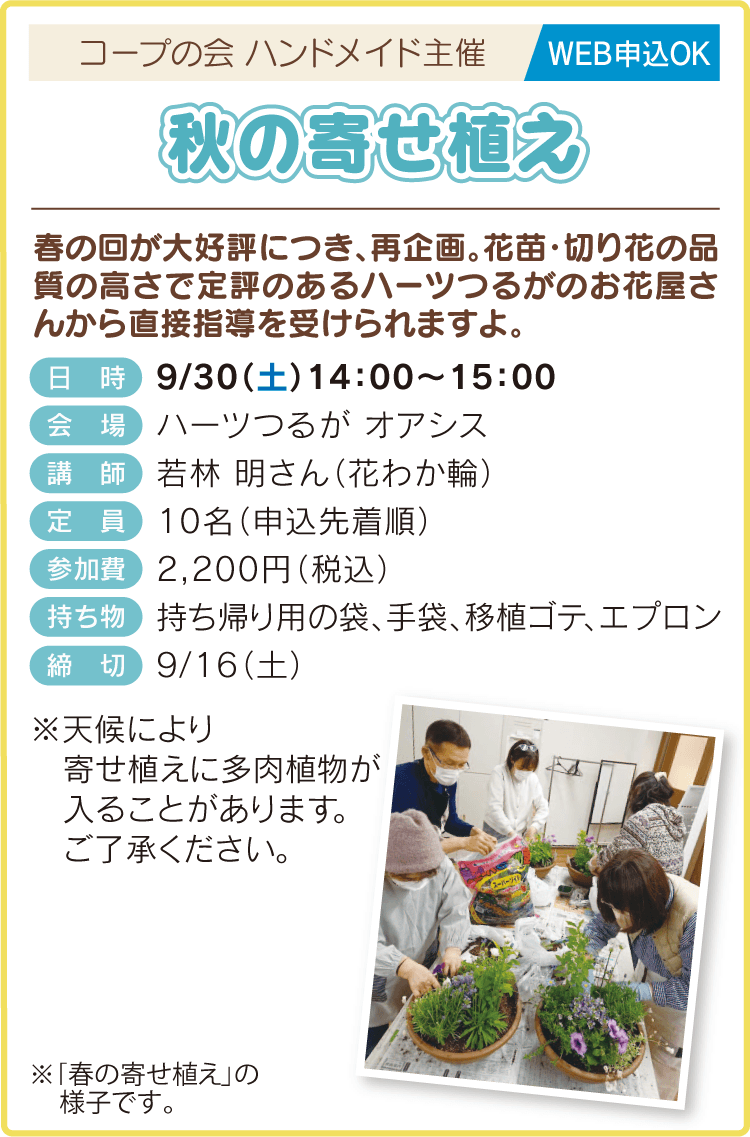 秋の寄せ植え