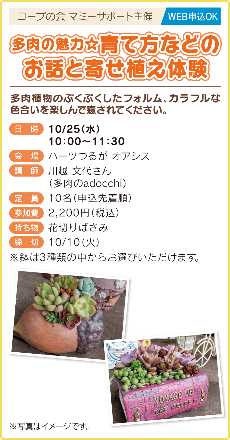 多肉の魅力☆育て方などのお話と寄せ植え体験
