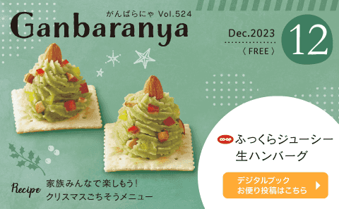 がんばらにゃ12月