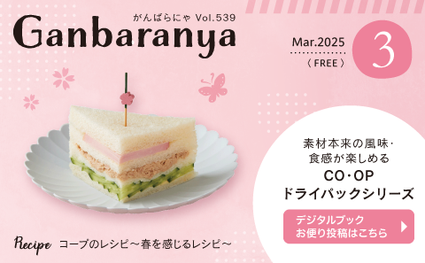 がんばらにゃ3月