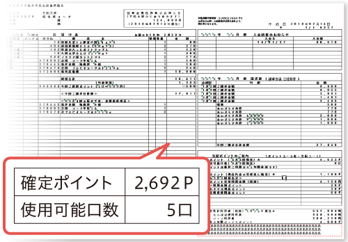 お届け明細書でポイントチェックする