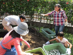 プランター菜園リニューアルしました 食育の会 福井県民生活協同組合 プランター菜園リニューアルしました 食育の会 福井県民生活協同組合