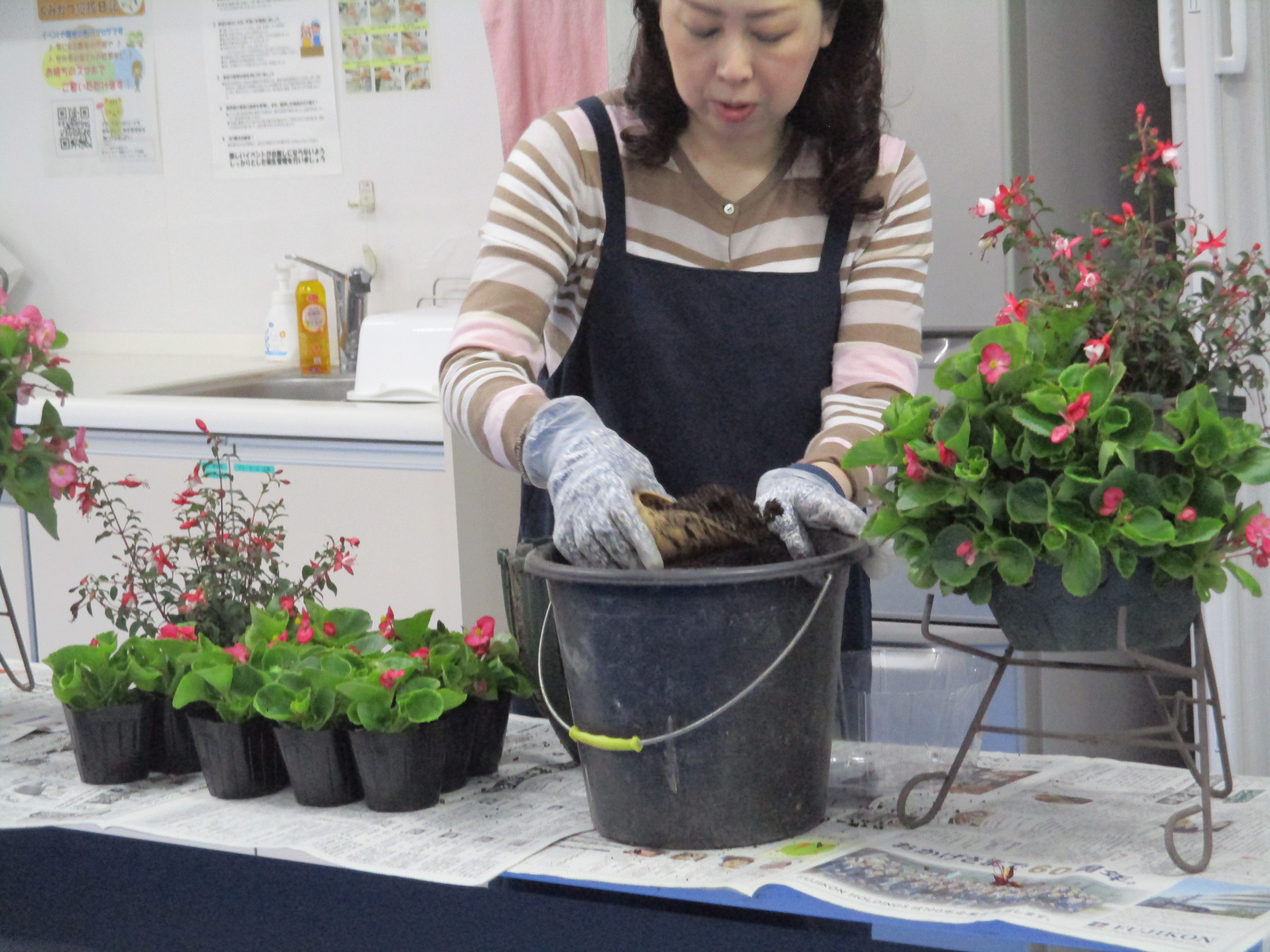 若狭 ハンギングバスケットをつくりました 福井県民生活協同組合