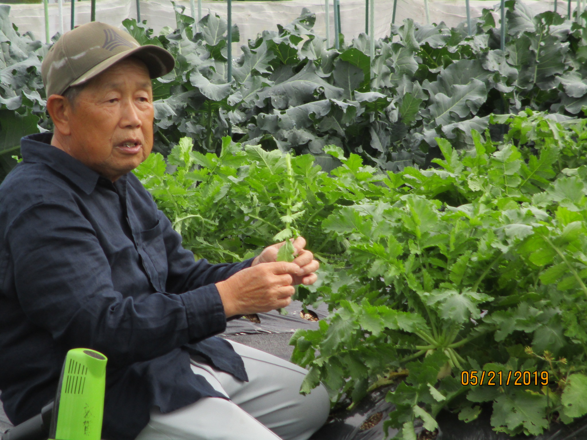 若狭 あおぎり農園 秋の家庭菜園講習 福井県民生活協同組合 若狭 あおぎり農園 秋の家庭菜園講習 福井県民生活協同組合