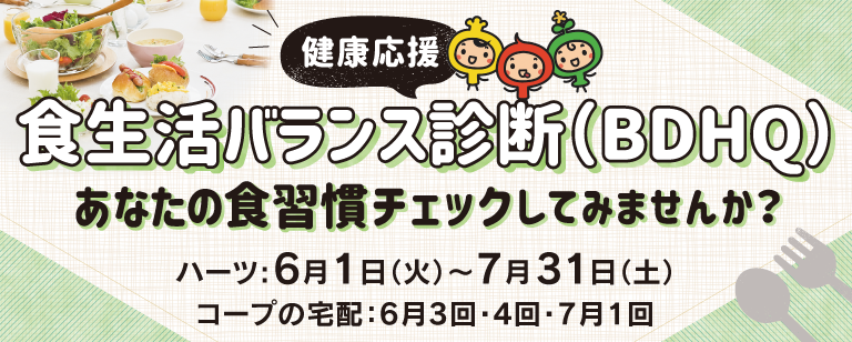 健康応援 食生活バランス診断(BDHQ)