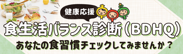 健康応援　食生活バランス診断（BDHQ）