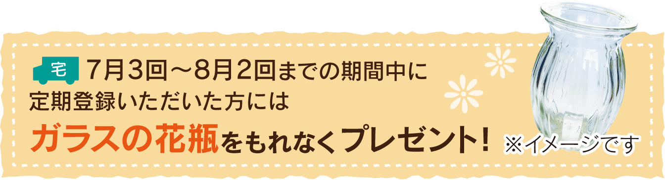 7月3回～8月2回までの期間中に定期登録いただいた方にはガラスの花瓶をもれなくプレゼント！