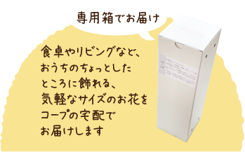 専用箱でお届け