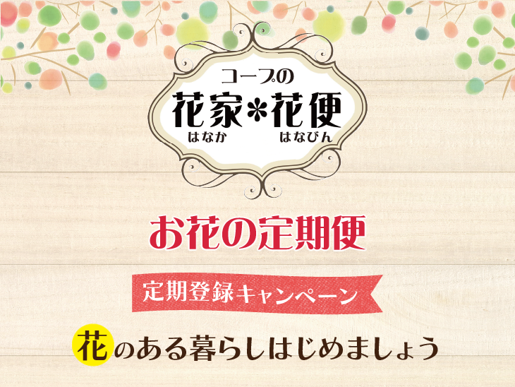 コープの花家＊花便（はなか・はなびん） お花の定期便 定期登録キャンペーン 花のある暮らしをはじめましょう