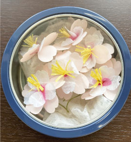 持ち帰り用見本