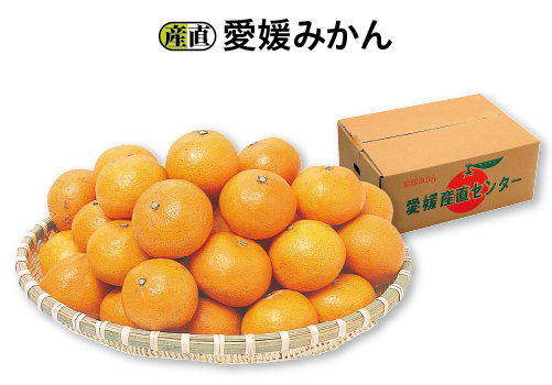 産直愛媛みかん