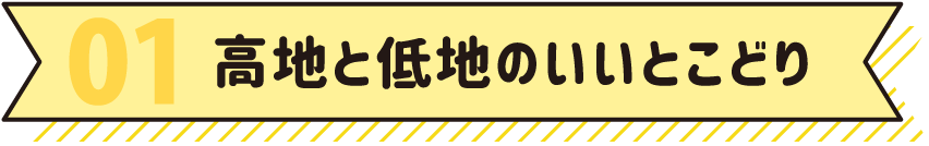 01 高地と低地のいいとこどり