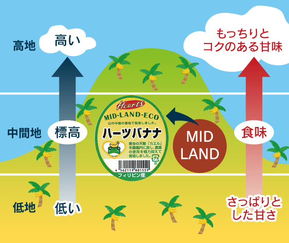 標高と味の関係図