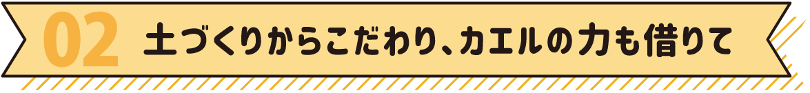 02 土づくりからこだわり、カエルの力も借りて