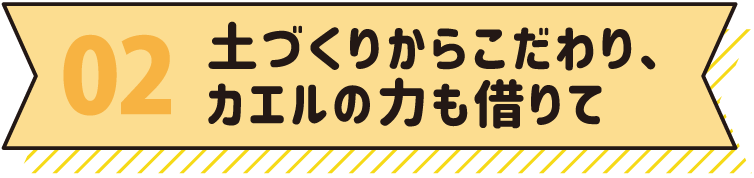 02 土づくりからこだわり、カエルの力も借りて