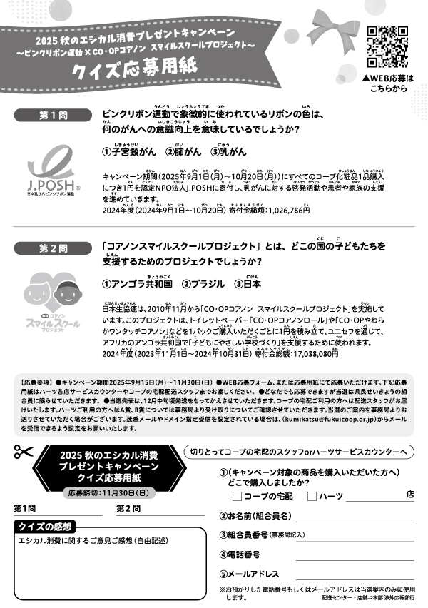 チラシ裏面
