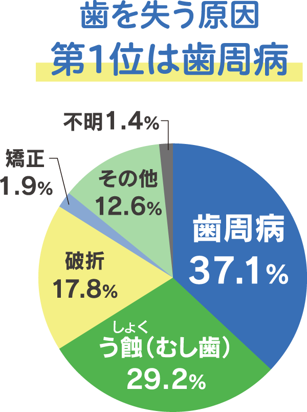 歯を失う原因第1位は歯周病