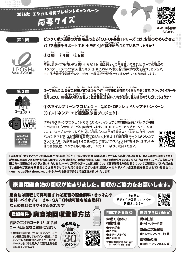 チラシ裏面